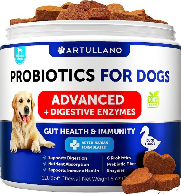 Probiotics for Dogs - Support Gut Health120 Probiotic Chews for Dogs